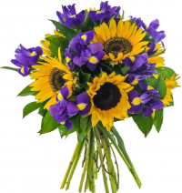 Букет «Шазам» Букет «Шазам»