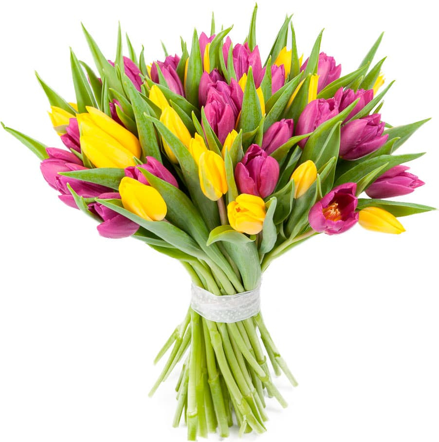 Тюльпаны микс № 4 Тюльпаны микс № 4